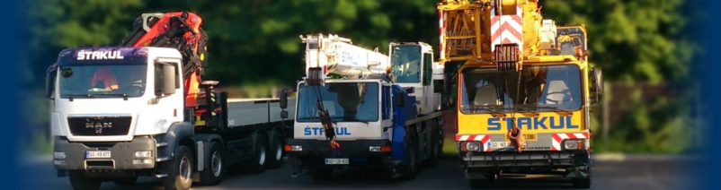 Storitve z industrijskimi dvigali Goriška