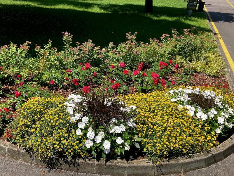 Svetovanje in načrtovanje vrtov Posavje, Štajerska