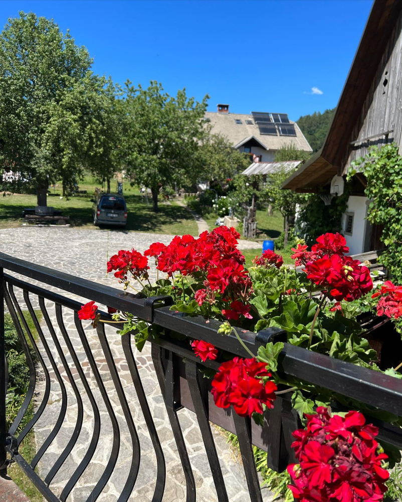 Kmečki turizem Bled