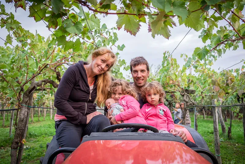 Vino Teran Kras