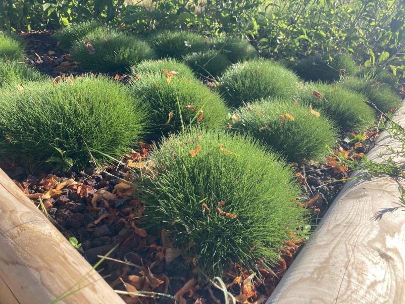 Zasaditve in vzdrževanje vrtov Posavje, Štajerska