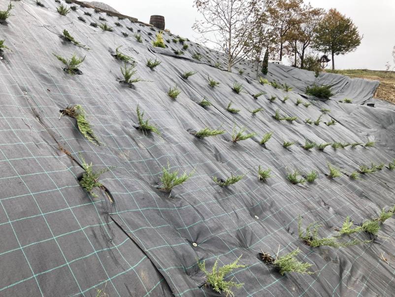 Zasaditve in vzdrževanje vrtov Posavje