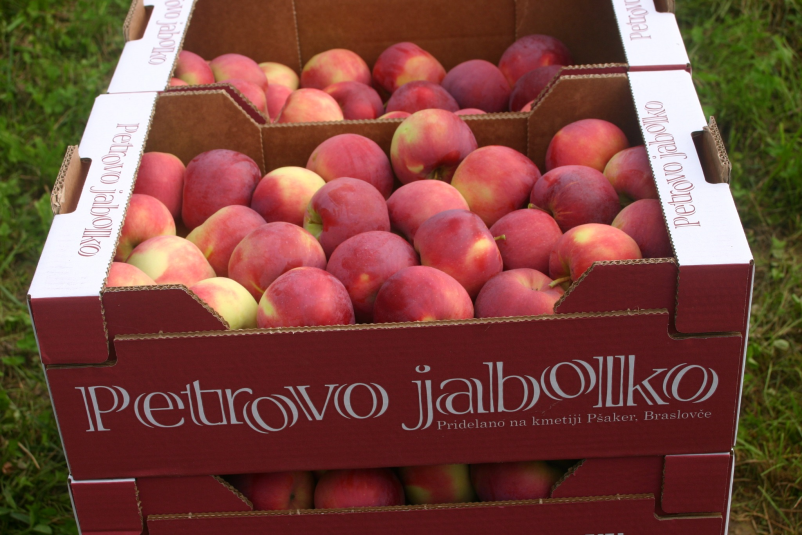 Bio jabolka iz Slovenije