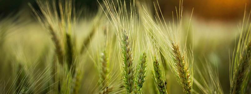 Certificiranje živil Maribor, Štajerska