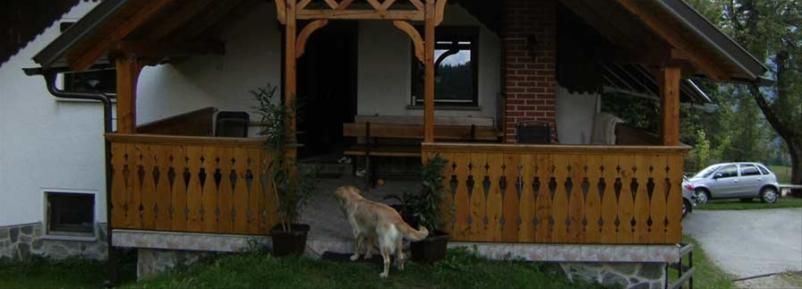 Lesene brunarice Savinjska