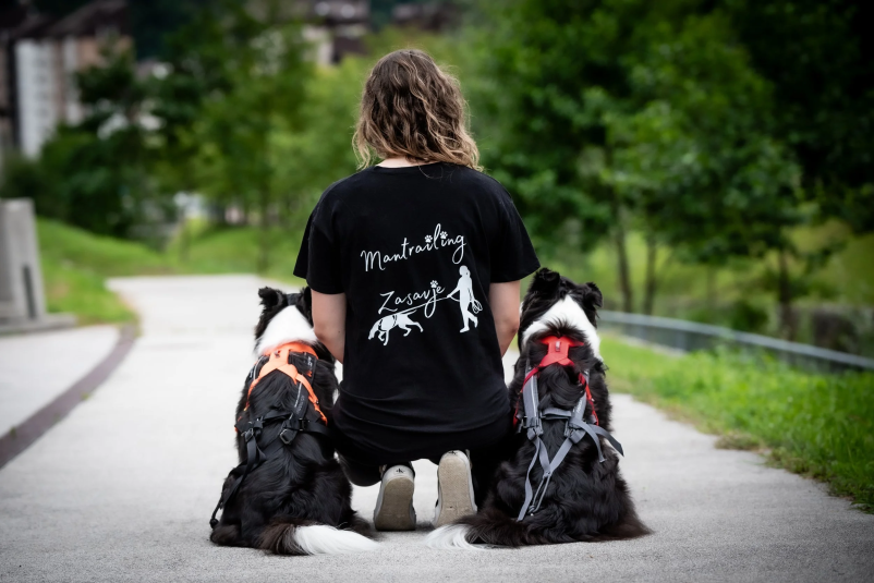 Ugodna pasja šola Trbovlje