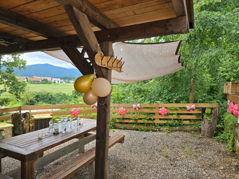 Piknik prostor za praznovanja Ig, Ljubljana