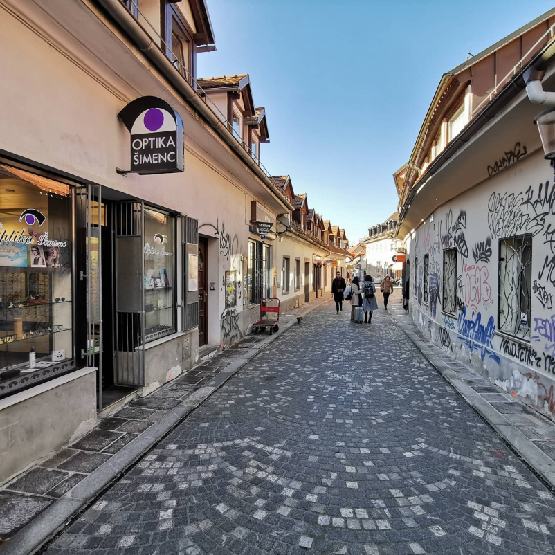 Strokoven pregled vida v Ljubljani - Centru