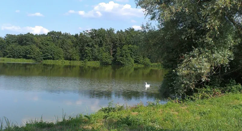 Varstvo okolja in narave Fram, Podravje