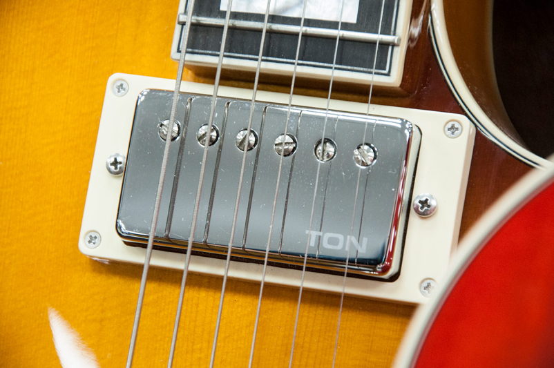 Popravilo kitare Domžale, Ljubljana, Slovenija	