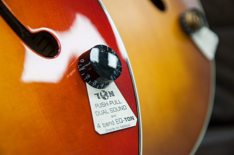 Servis kitare Domžale, Ljubljana, Slovenija	