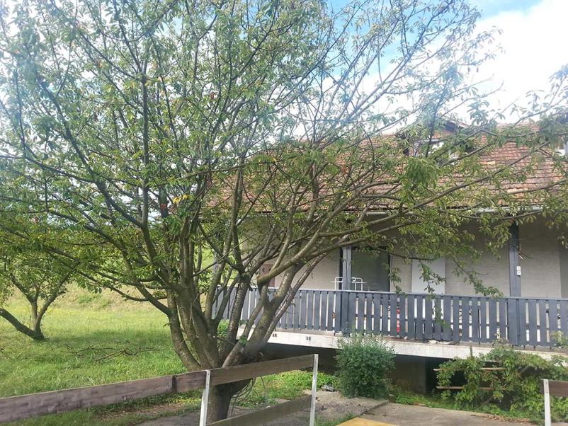 Najbolj ugodni apartmaji Štajerska