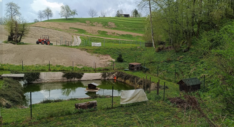 Varstvo psov v Zagorju