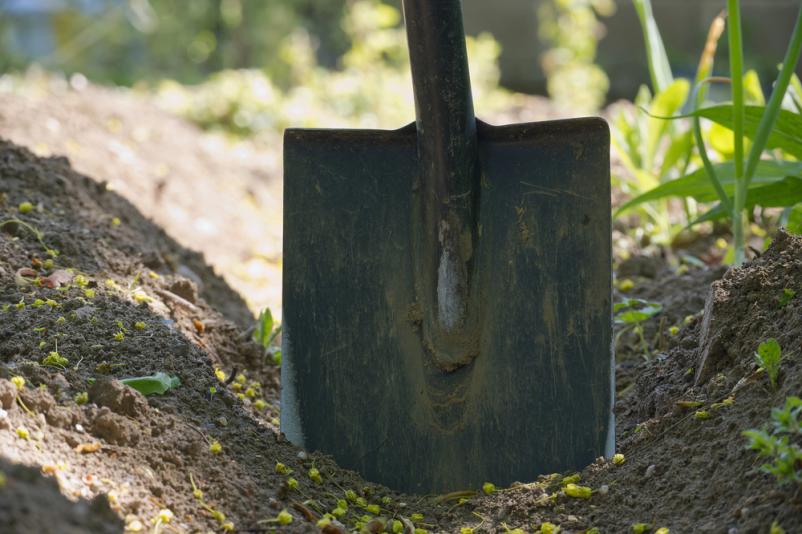 Zemeljska pripravljalna dela Ankaran