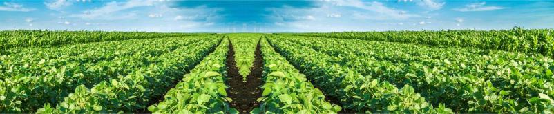 Biološke čistilne naprave, kmetijstvo, živinoreja, poljedelstvo Slovenija