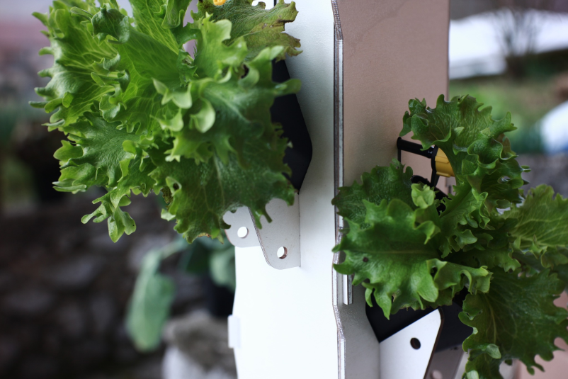 Vertikalni vrt Slovenija