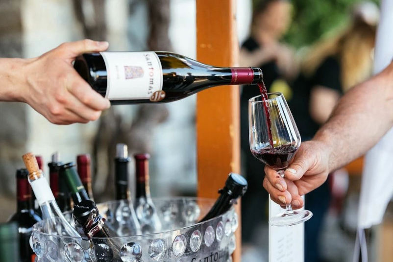 Degustacija vrhunskih vin Santomas Primorska