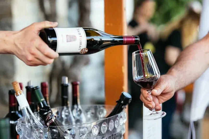 Degustacija vrhunskih vin Santomas Primorska