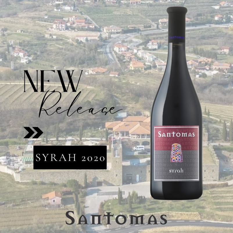 Ugodna degustacija kvalitetnih vin Primorska