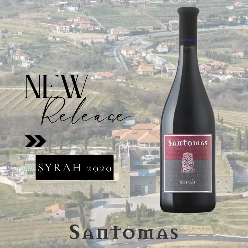 Ugodna degustacija kvalitetnih vin Primorska