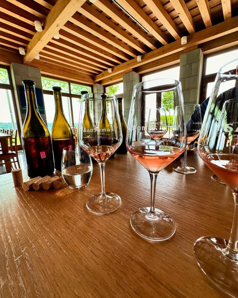 Degustacija v vinski kleti Primorska