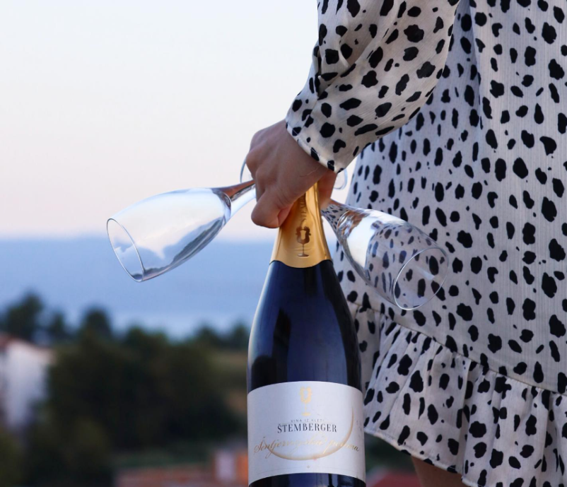 Degustacija vin v Štemberger Vinogradništvo