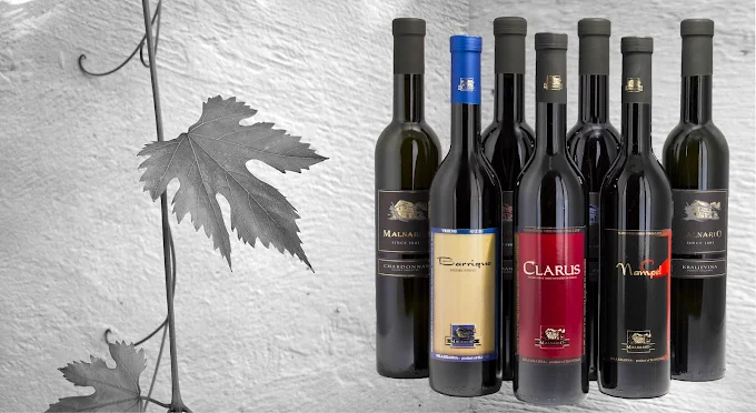 Degustacije vin Bela krajina