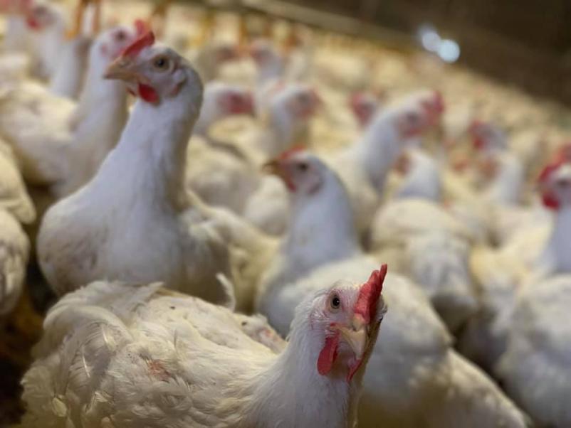 Delo kmetijske mehanizacije