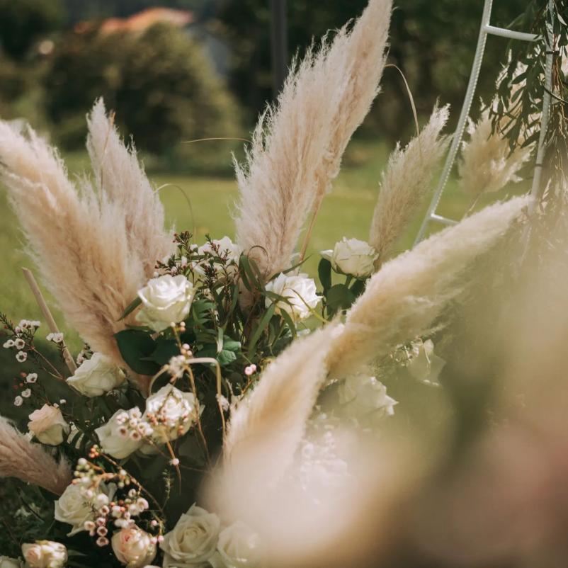 Dobra cvetličarna Maribor Štajerska