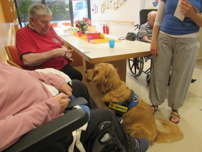 Dom starejših Podčetrtek