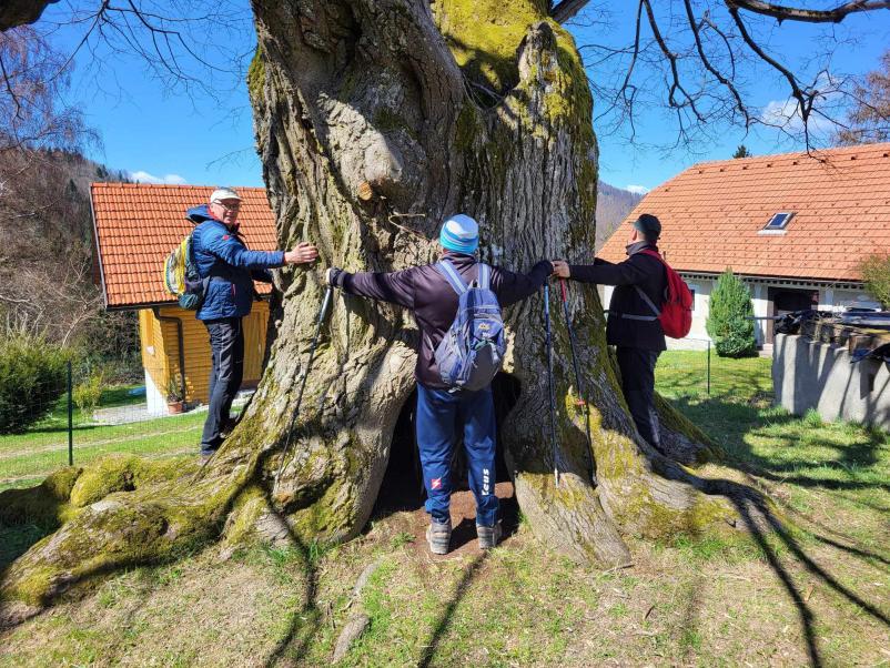 Pohodništvo, športno društvo Sv. Tomaž