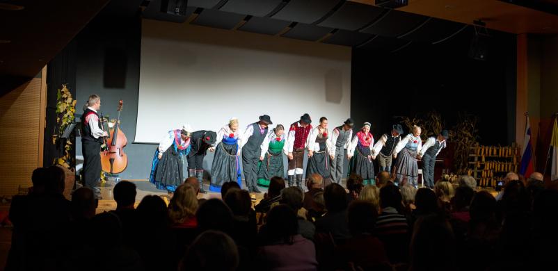 Moški pevski zbor Ljubljana