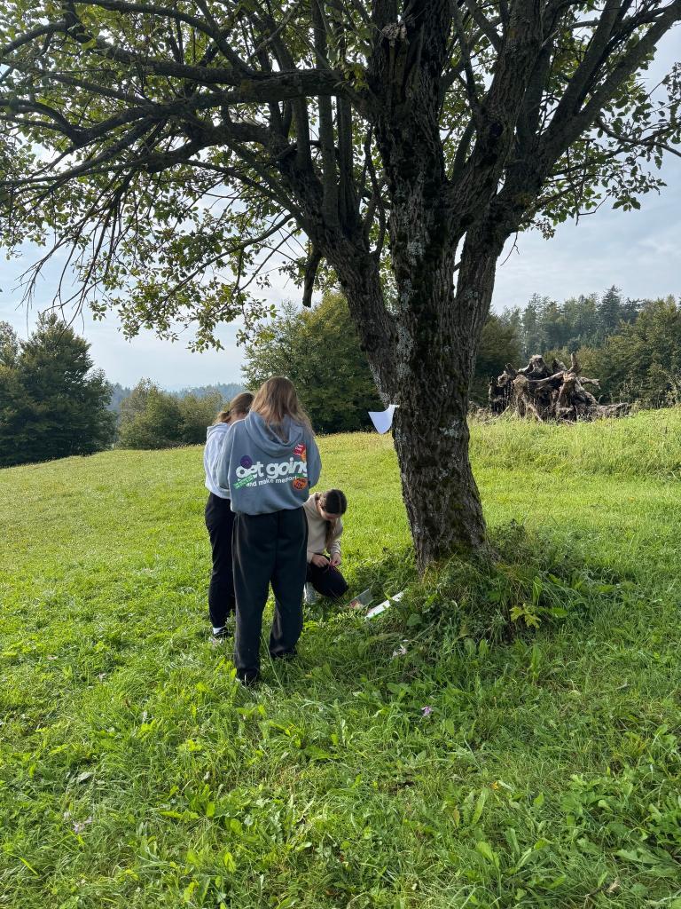 Športna gimnazija Nova Gorica