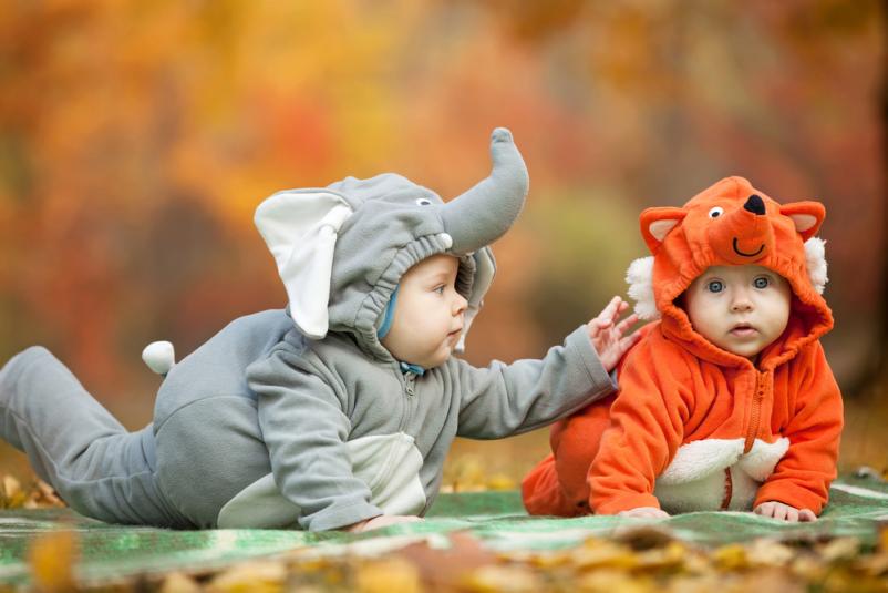 Montessori program za nenasilno komunikacijo Koper