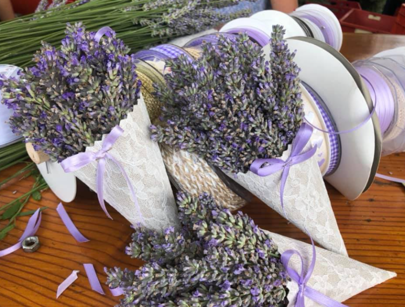 Domači izdelki iz sivke Goriška Brda