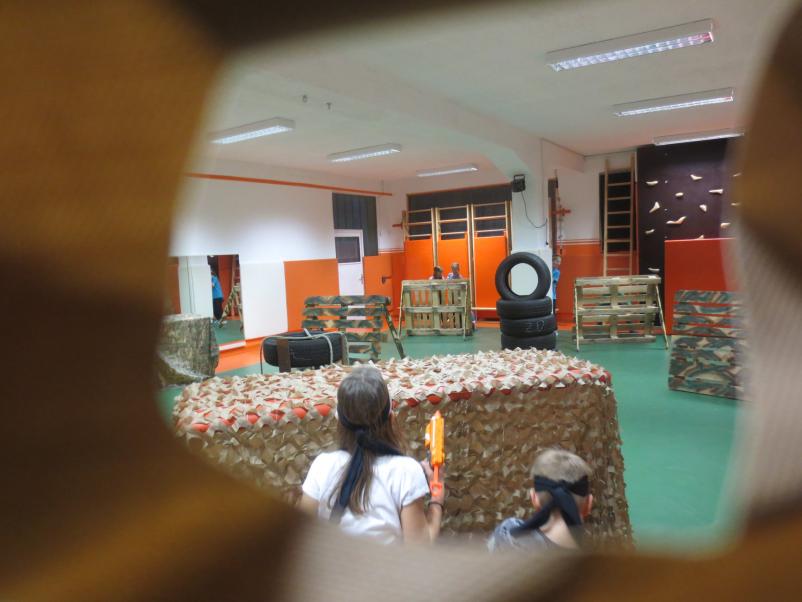 Organiziranje izobraževanj in svetovanja za odrasle Posavska