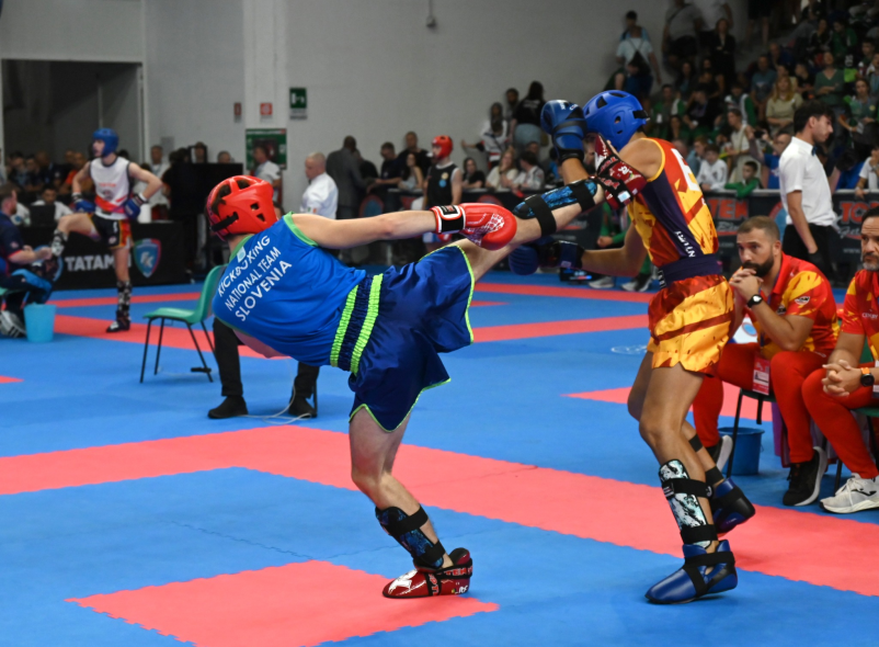 Klubi borilnih veščin v kickboxing zvezi Slovenije