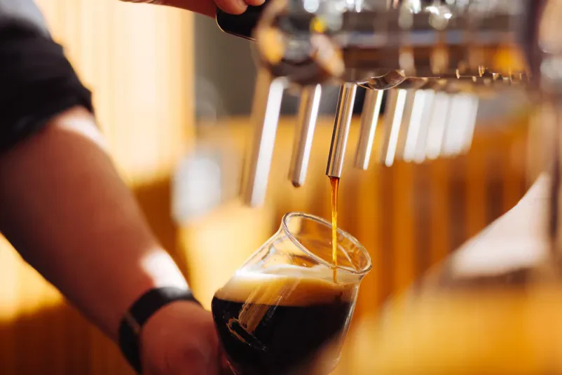 Slovensko pivo Dolenjska