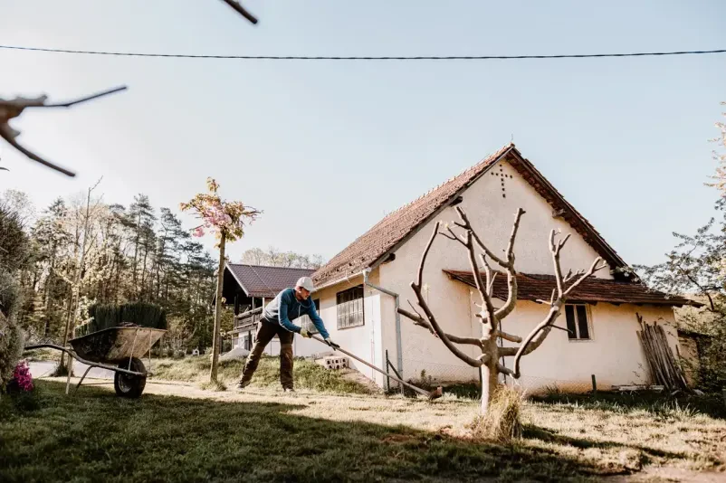 Iščem podjetje za kvalitetno urejanje okolja in vrtov Destrnik, Slovenske gorice
