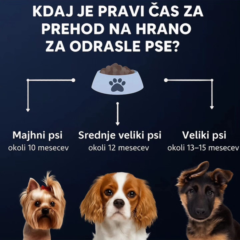 Naročilo hrane za pse Slovenija