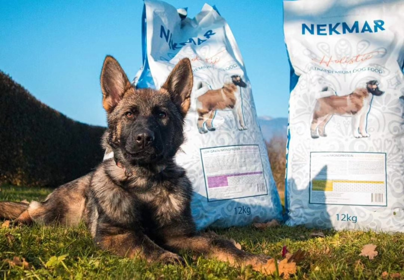 Kakovostna suha pasja hrana Slovenija