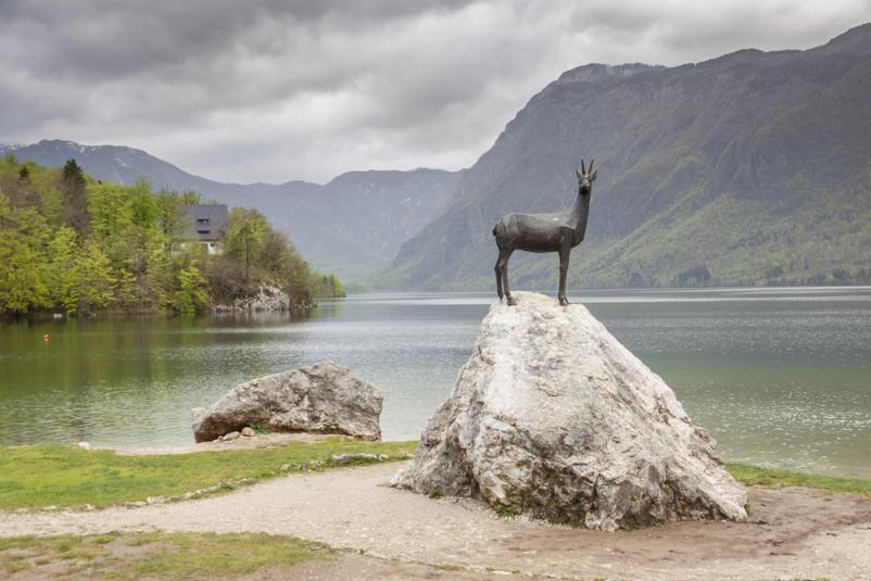 Ugoden apartma za 6 oseb Bohinj