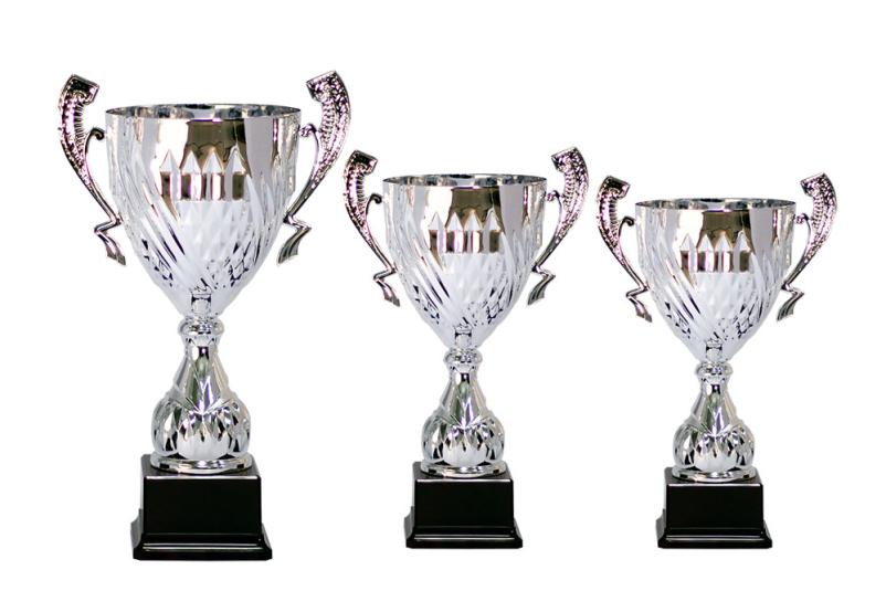 Oblikovanje pokalov Kranj