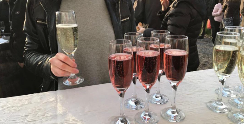 Ogled vinske kleti na Dolenjskem