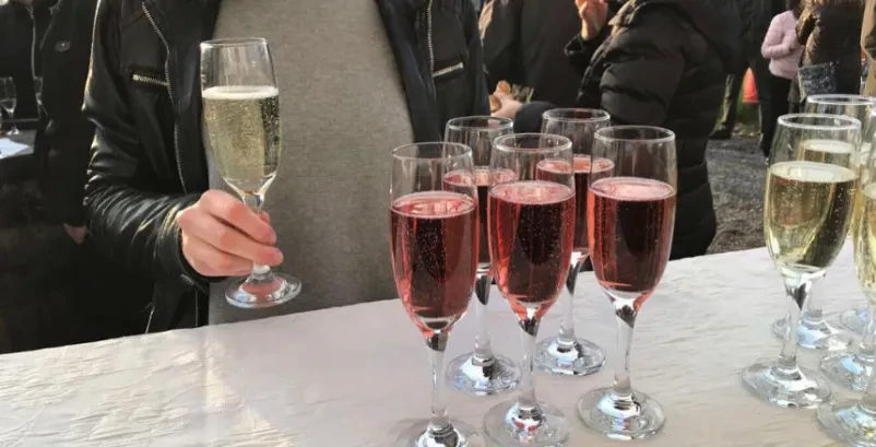 Ogled vinske kleti na Dolenjskem