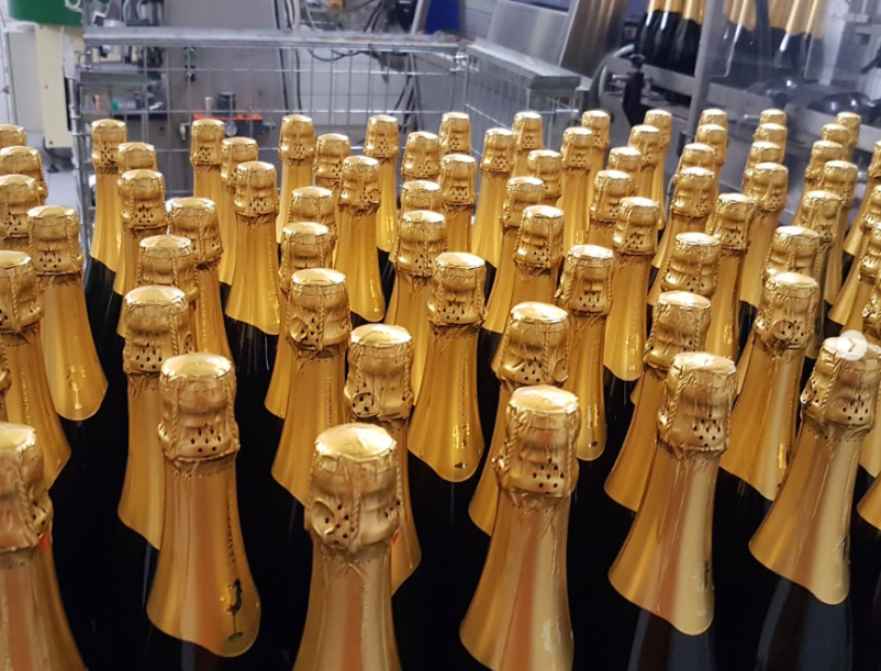 Ogled vinske kleti Štemberger