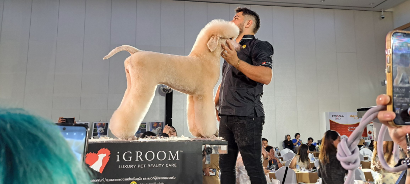 Dober pasji salon za pse v Trbovljah