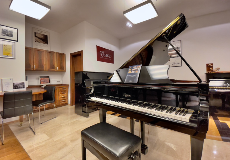 Profesionalno popravilo glasbenih instrumentov Ljubljana, Osrednja Slovenija