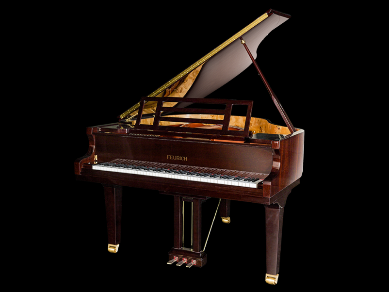 Profesionalno popravilo glasbenih instrumentov Ljubljana