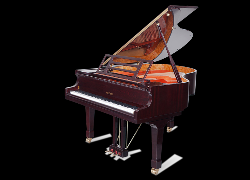 Servis in popravilo glasbenih instrumentov Ljubljana